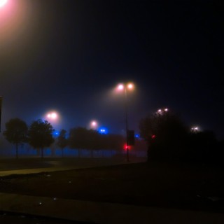 Foggy Night