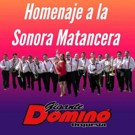 Homenaje a la Sonora Matancera | Boomplay Music