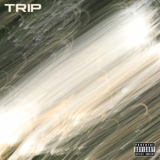 Trip