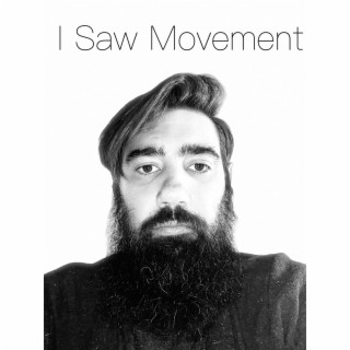 I Saw Movement