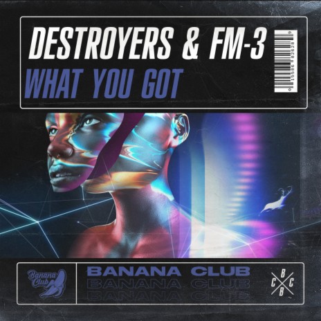 What you got (Original Mix) ft. FM-3