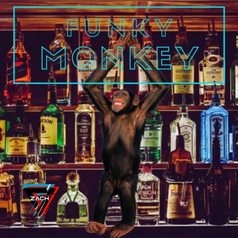 Funky Monkey | Boomplay Music