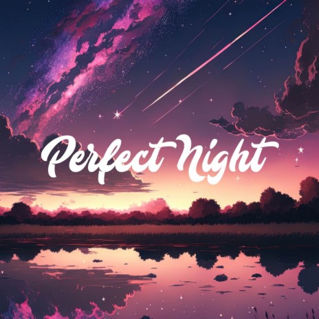 Perfect Night | Boomplay Music