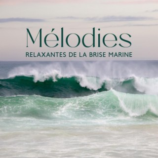 Mélodies relaxantes de la brise marine : Musique de guérison par le son et le toucher