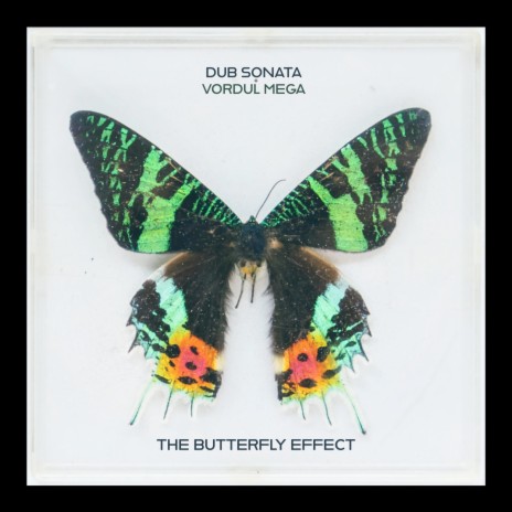 The Butterfly Effect ft. Vordul Mega