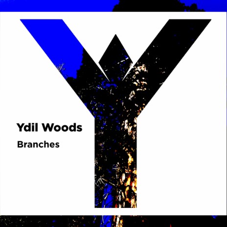 Branches (Extended Version)