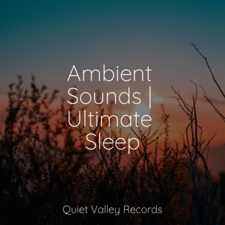 Relaxation ft. Massagem Guru & Sleeping Music | Boomplay Music