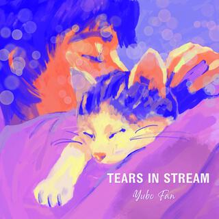 Tears in Stream