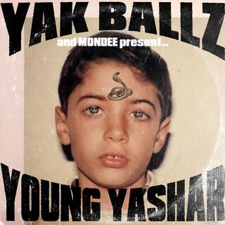 YOUNG YASHAR