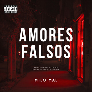 Amores Falsos