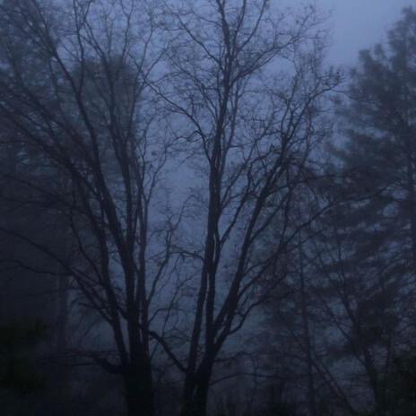 Blue Fog!