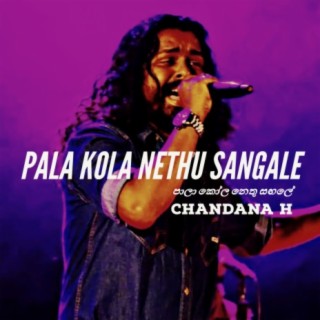 Pala Kola Nethu Sangale