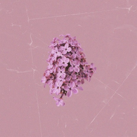 lilac | Boomplay Music