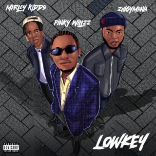 Low Key ft. Zhigymania & Marleykiddo lyrics | Boomplay Music