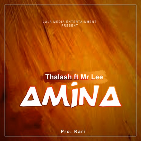 Amina ft. Mr Lee | Boomplay Music