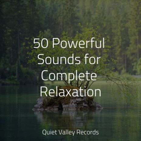 Anxiety Removal ft. Lullabies for Deep Meditation & Academia de Música con Sonidos de la Naturaleza | Boomplay Music