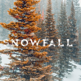 Snowfall