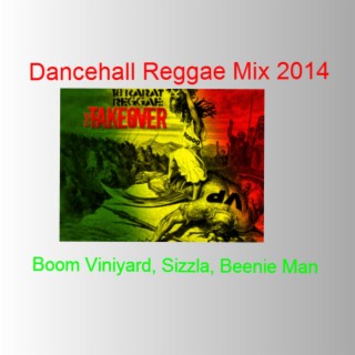 Good vibes 2025 reggae mix 2014