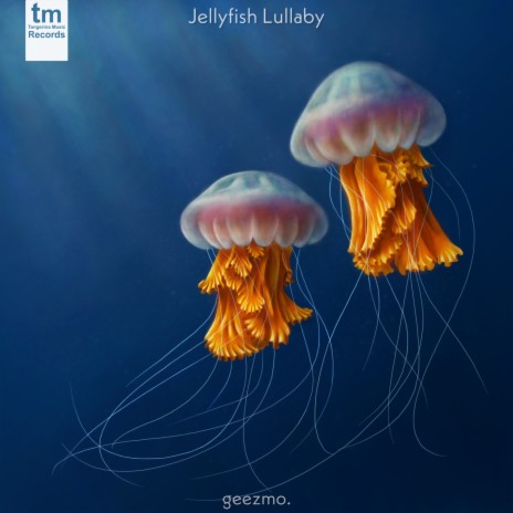 Jellyfish Lullaby | Boomplay Music