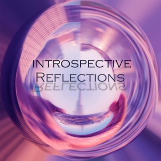 Introspective Reflections