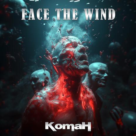 Face the Wind | Boomplay Music