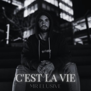 C'est La Vie lyrics | Boomplay Music