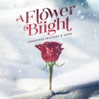 A Flower Bright - EP