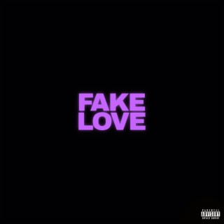 Fake Love