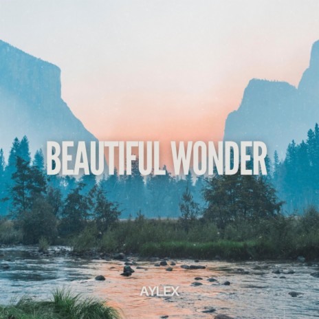 Beautiful Wonder | Boomplay Music