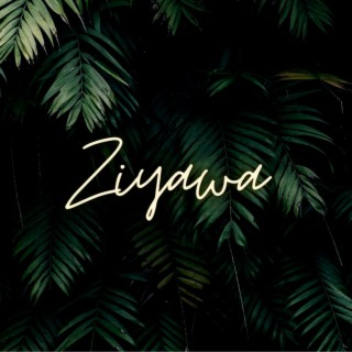 Ziyawa