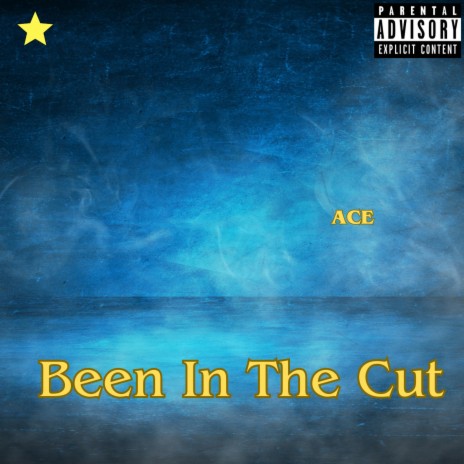 Been In The Cut | Boomplay Music