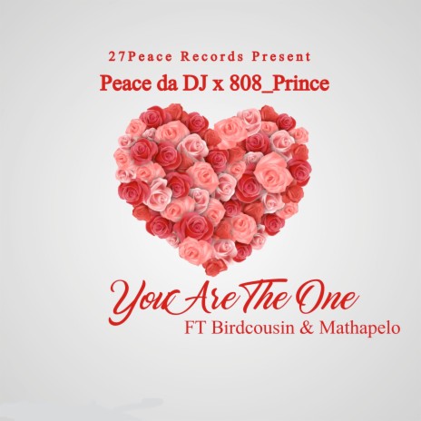 You Are the One ft. 808_Prince, Birdcousin & Mathapelo | Boomplay Music