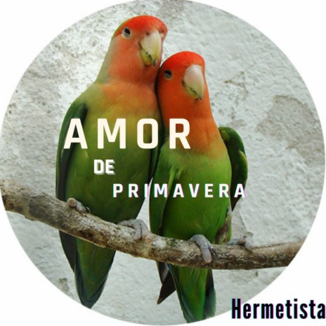 Amor de Primavera ft. Hermetista & Garabato Beats | Boomplay Music