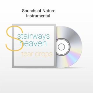 Sounds of Nature Instrumental Stairways Heaven Tear Drops