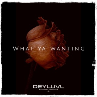 What ya Wanting lyrics | Boomplay Music