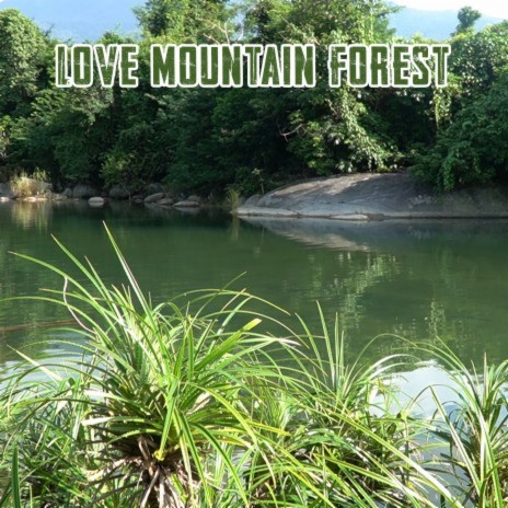 Love Mountain Forest 1 | Boomplay Music