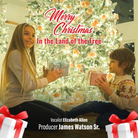 Merry Christmas in the land the of the free (Radio Edit) | Boomplay Music
