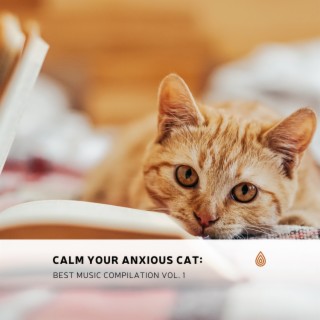 Calm Your Anxious Cat: Best Music Compilation Vol. 1