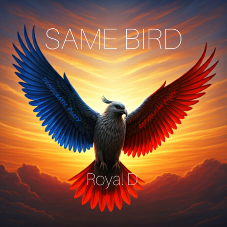 Same Bird | Boomplay Music