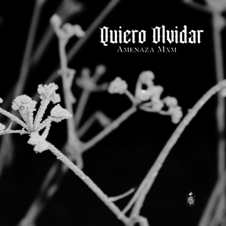 Quiero Olvidar | Boomplay Music