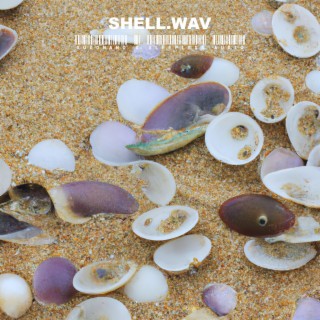 Shell.WAV