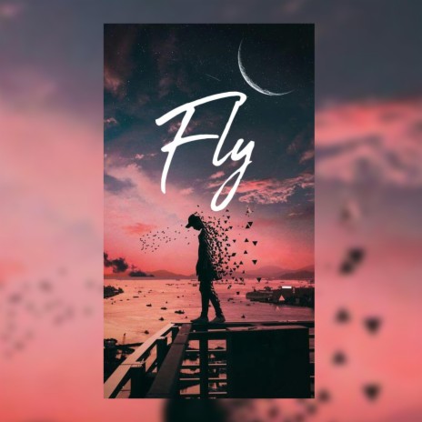 Fly