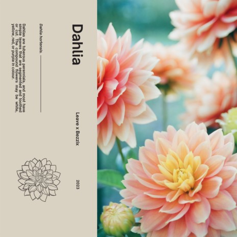 Dahlia ft. Bezzix | Boomplay Music
