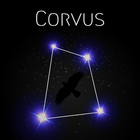 Corvus | Boomplay Music