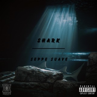 Shark lyrics | Boomplay Music