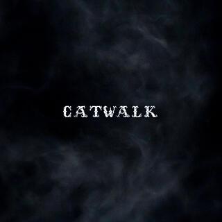 CATWALK ft. Felipe S. Cirujeda lyrics | Boomplay Music