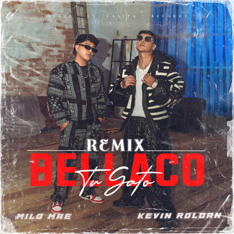 Tu Gato Bellaco (Remix) ft. Kevin Roldan | Boomplay Music