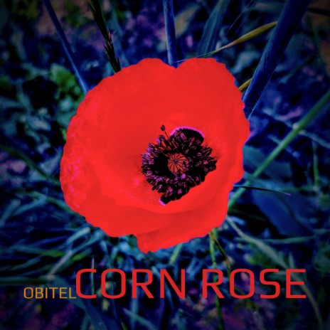 Corn Rose ft. Sonic Sorceress | Boomplay Music