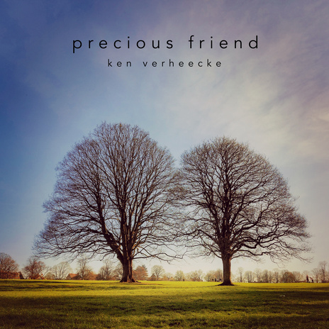 Precious Friend | Boomplay Music