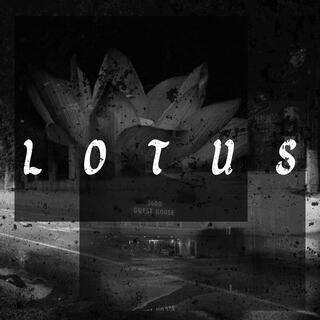 LOTUS